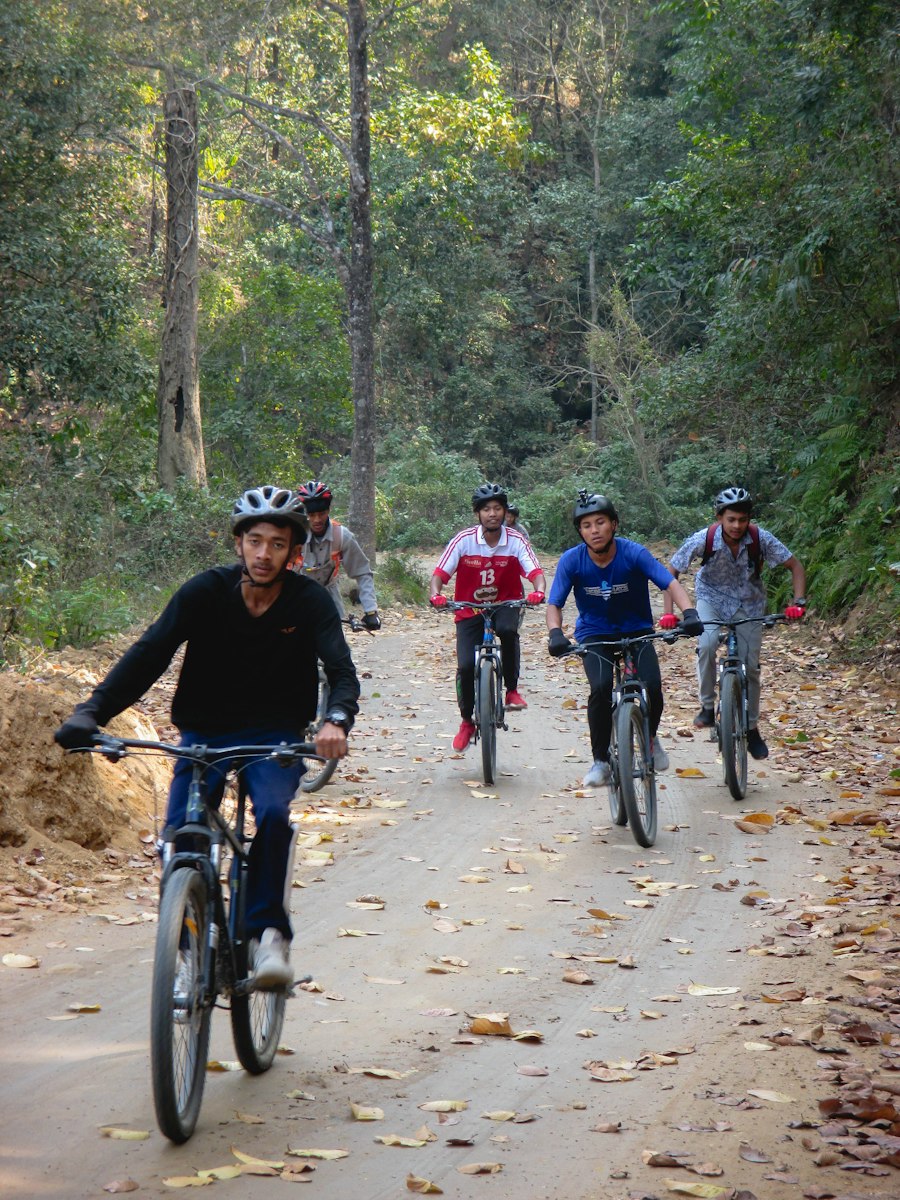 Cyclistes en groupe sur un chemin forestier